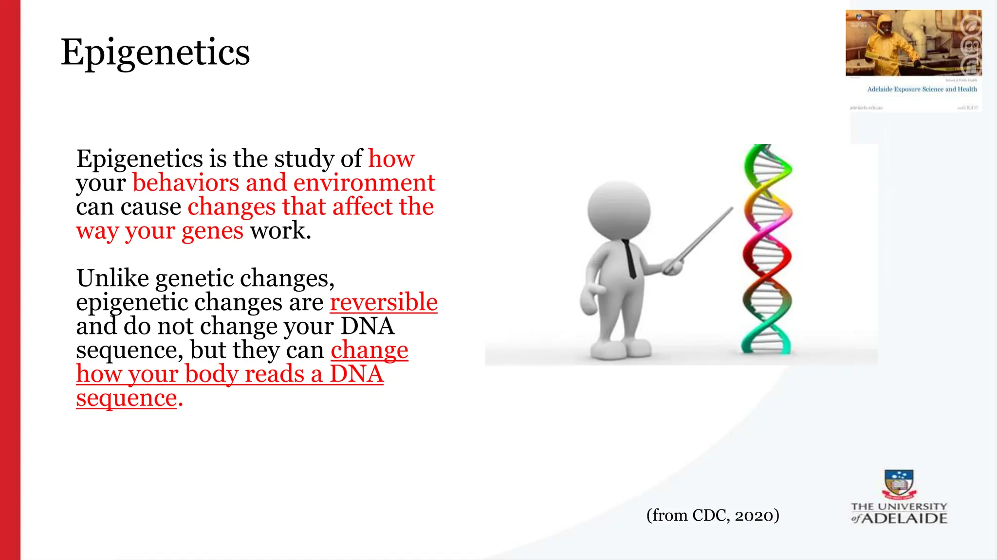 What is exposure
science?
Epigenetics
Epigenetics is the study of how
your behaviors and environment
can cause changes that affect the
way your genes work.
Unlike genetic changes,
epigenetic changes are reversible
and do not change your DNA
sequence, but they can change
how your body reads a DNA
sequence.
(from CDC, 2020)
 