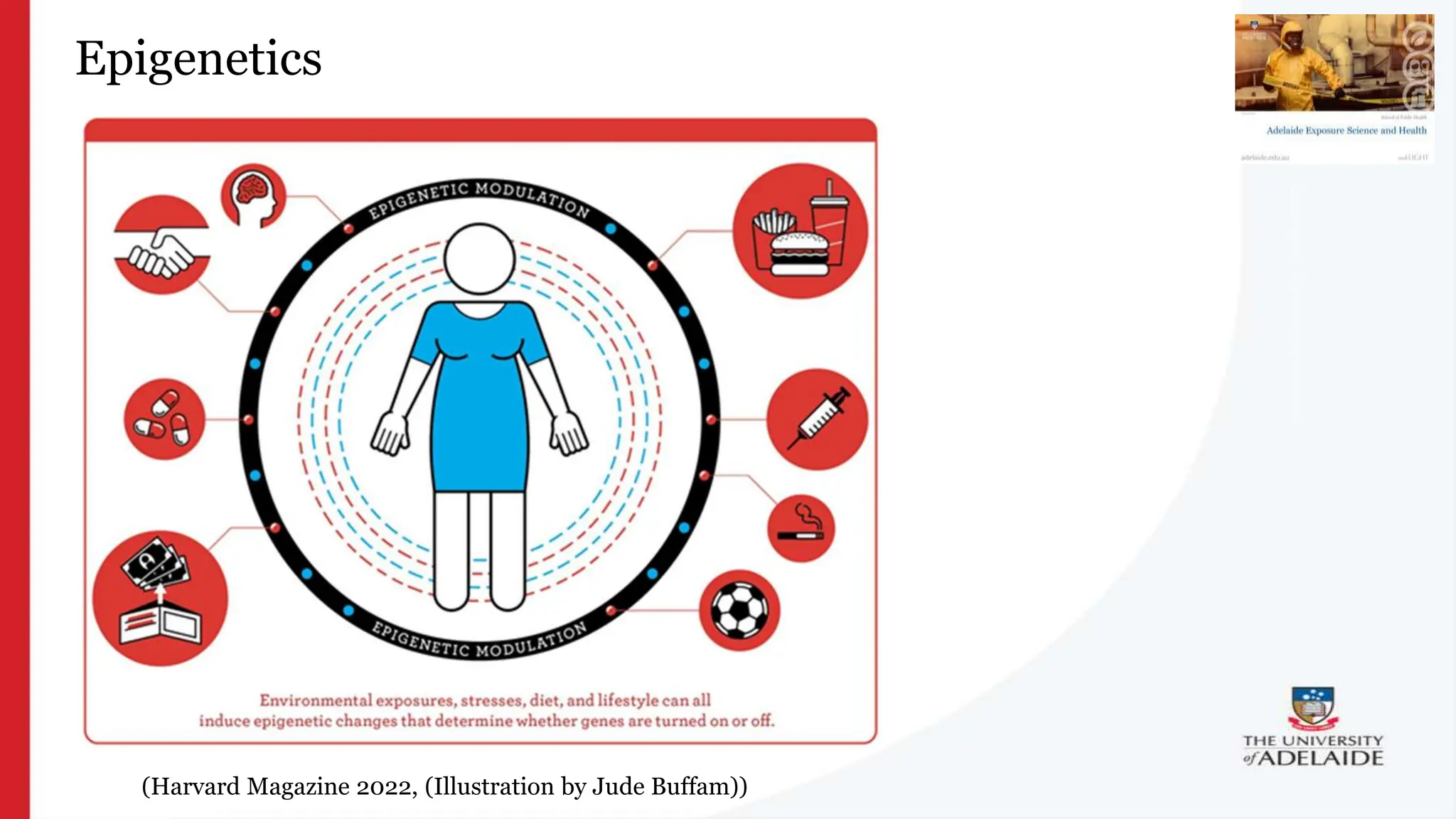 What is exposure
science?
Epigenetics
(Harvard Magazine 2022, (Illustration by Jude Buffam))
 