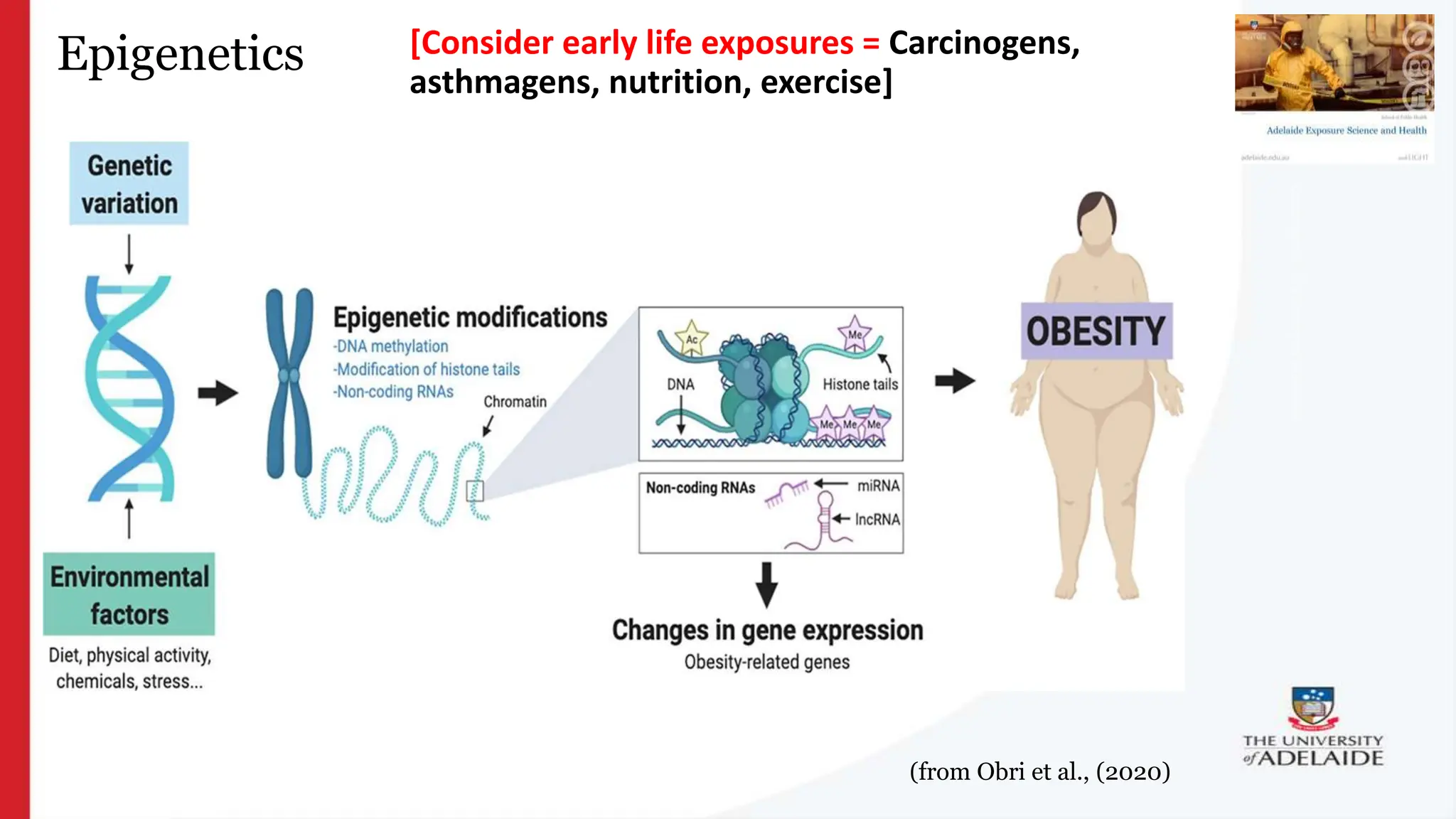 What is exposure
science?
Epigenetics
(from Obri et al., (2020)
[Consider early life exposures = Carcinogens,
asthmagens, nutrition, exercise]
 