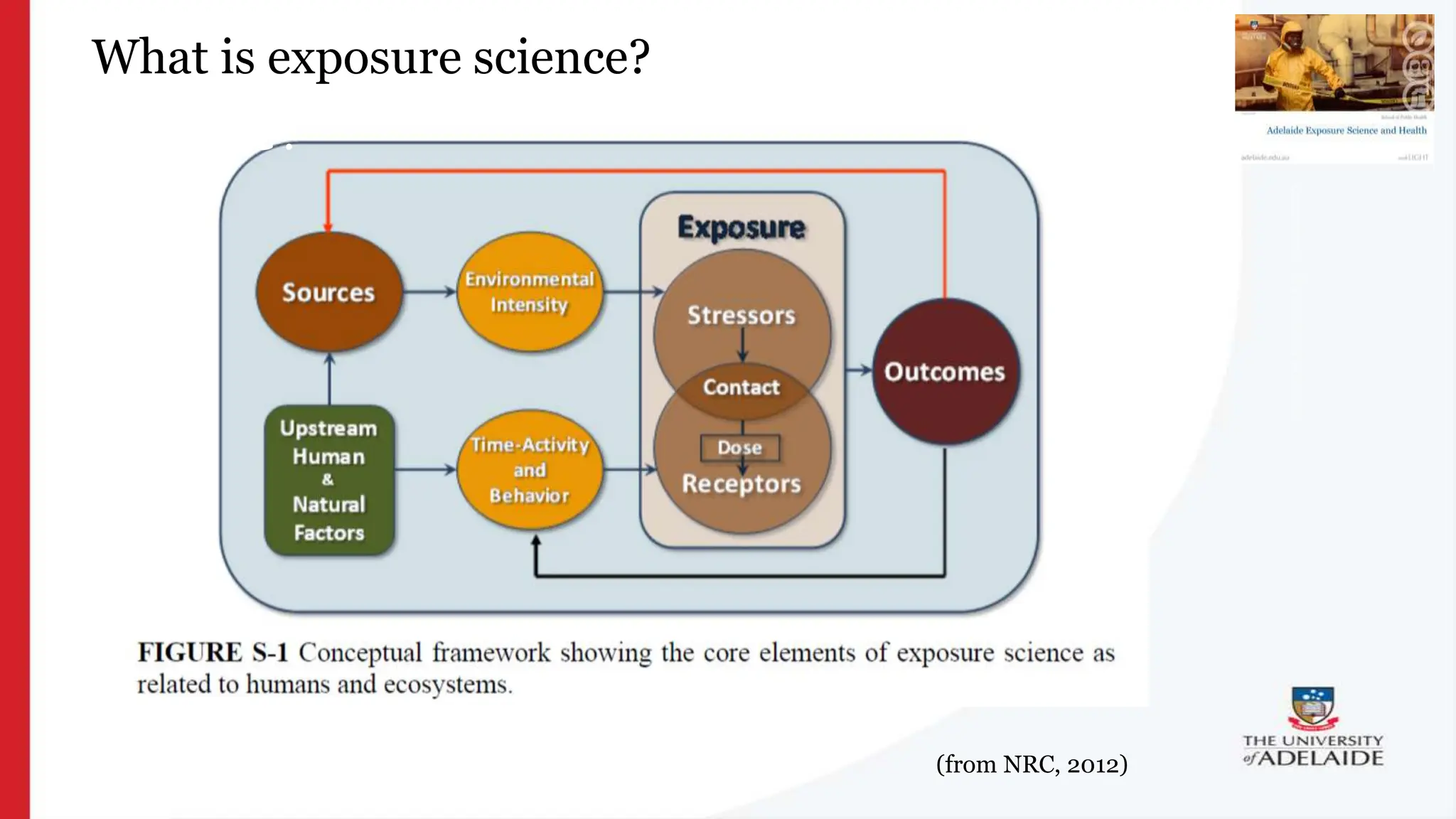 What is exposure
science?
What is exposure science?
(from NRC, 2012)
 