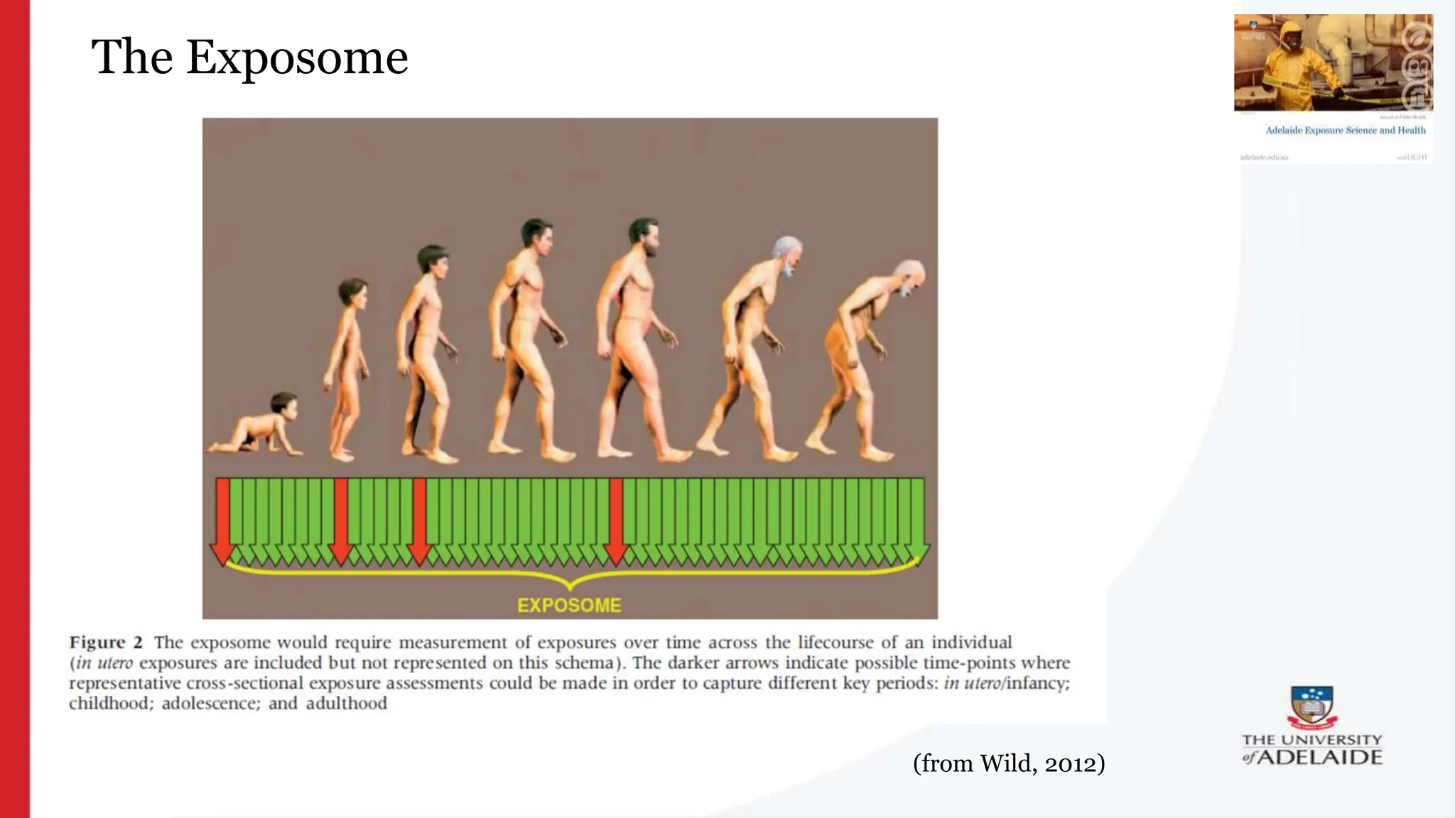 What is exposure
science?
The Exposome
(from Wild, 2012)
 