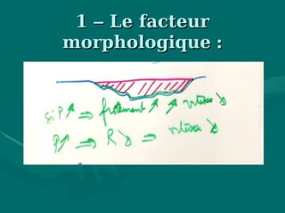 11 –– Le facteurLe facteur
morphologiquemorphologique ::
 