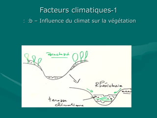 11--Facteurs climatiquesFacteurs climatiques
b – Influence du climat sur la végétationb – Influence du climat sur la végétation::::
 
