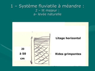 1 – Système fluviatile à méandre :1 – Système fluviatile à méandre :
2 – lit majeur :2 – lit majeur :
a- levée naturellea- levée naturelle
Litage horizontal
Rides grimpantes
20
à 50
cm
 