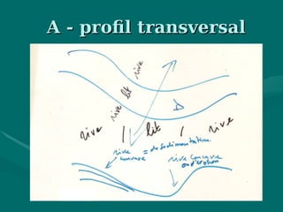 A - profil transversalA - profil transversal
 