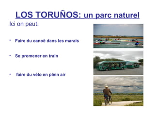 LOS TORUÑOS: un parc naturel
Ici on peut:
• Faire du canoë dans les marais
• Se promener en train
• faire du vélo en plein air
 