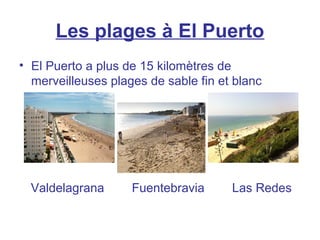 Les plages à El Puerto
• El Puerto a plus de 15 kilomètres de
merveilleuses plages de sable fin et blanc
Valdelagrana Fuentebravia Las Redes
 