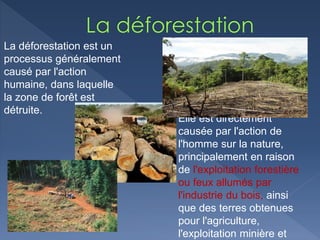 La déforestation est un
processus généralement
causé par l'action
humaine, dans laquelle
la zone de forêt est
détruite.
Elle est directement
causée par l'action de
l'homme sur la nature,
principalement en raison
de l'exploitation forestière
ou feux allumés par
l'industrie du bois, ainsi
que des terres obtenues
pour l'agriculture,
l'exploitation minière et
 
