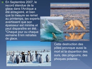  En Septembre 2007, le
record étendue de la
glace dans l'Arctique a
été enregistré, et bien
que la mesure se remet
au printemps, les experts
avertissent que son
épaisseur est minime et
peut disparaître en été.
"Chaque jour ou chaque
semaine 8 km retraites
de glace.
Cette destruction des
pôles provoque aussi la
mort et la disparition des
ours, des pingouins, des
phoques polaires ..
 