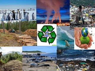 L´environnement: Raúl et Iván