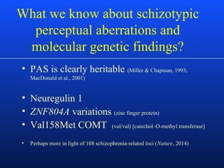 What we know about schizotypic
perceptual aberrations and
molecular genetic findings?
• PAS is clearly heritable (Miller & Chapman, 1993;
MacDonald et al., 2001)
• Neuregulin 1
• ZNF804A variations (zinc finger protein)
• Val158Met COMT (val/val) [catechol–O-methyl transferase]
• Perhaps more in light of 108 schizophrenia-related loci (Nature, 2014)
 