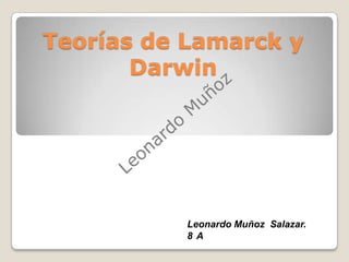 Teorías de Lamarck y Darwin Leonardo Muñoz Leonardo Muñoz  Salazar. 8°A 