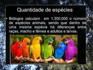 Quantidade de espécies
● Biólogos calculam em 1.300.000 o número
de espécies animais, sendo que dentro de
uma mesma espécie há diferenças entre
raças, macho e fêmea e adultos e larvas.
 