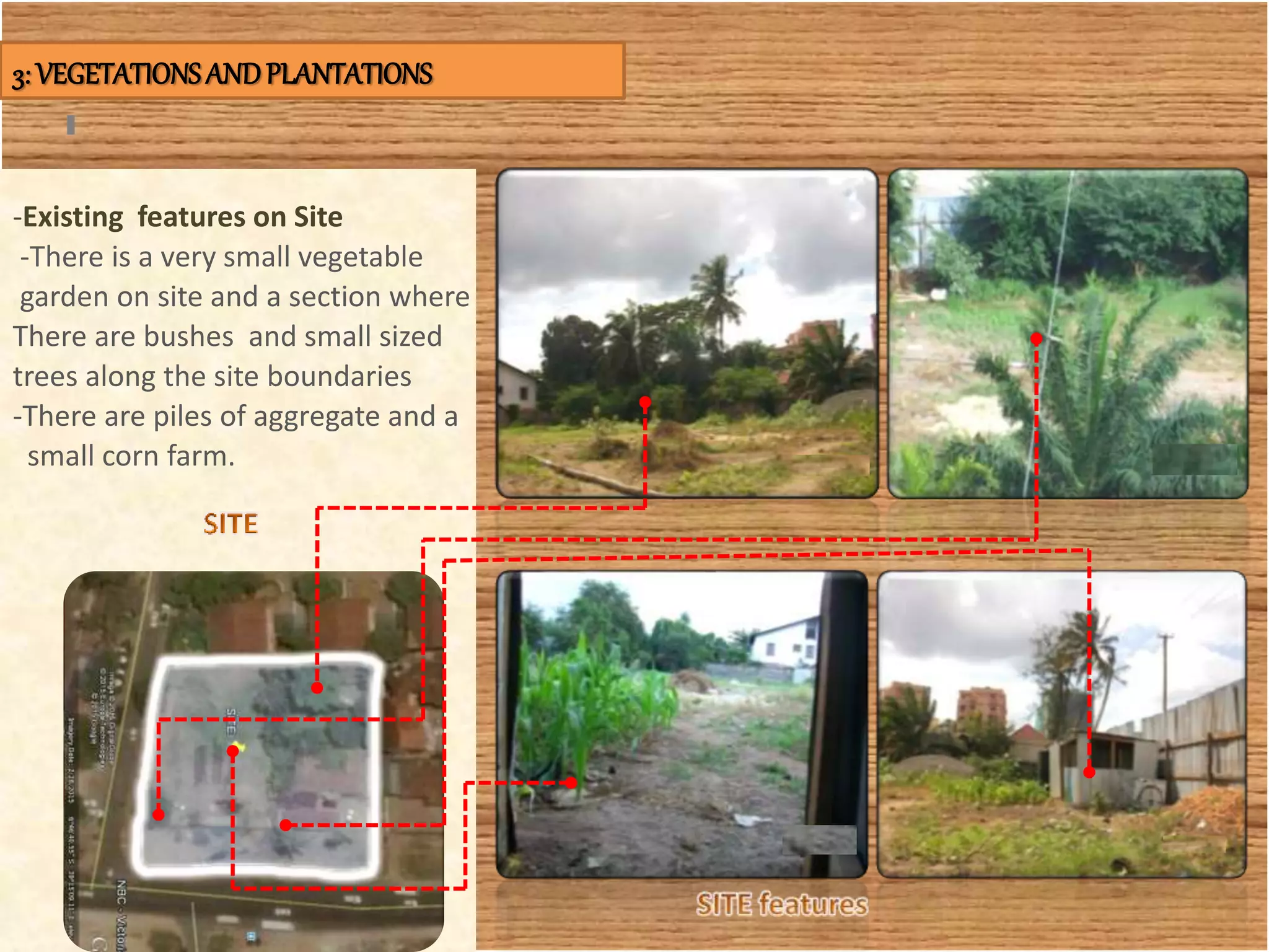 -Existing features on Site
-There is a very small vegetable
garden on site and a section where
There are bushes and small sized
trees along the site boundaries
-There are piles of aggregate and a
small corn farm.
3: VEGETATIONSANDPLANTATIONS
 