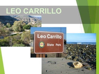 LEO CARRILLO
 