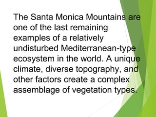 The Santa Monica Mountains are
one of the last remaining
examples of a relatively
undisturbed Mediterranean-type
ecosystem in the world. A unique
climate, diverse topography, and
other factors create a complex
assemblage of vegetation types.
 