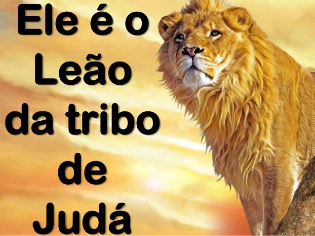 Leão da tribo de judá