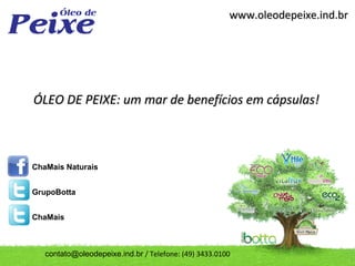 www.oleodepeixe.ind.br




ÓLEO DE PEIXE: um mar de benefícios em cápsulas!



ChaMais Naturais


GrupoBotta


ChaMais



   contato@oleodepeixe.ind.br / Telefone: (49) 3433.0100
 