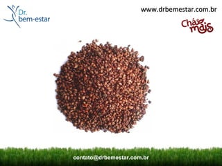 www.drbemestar.com.br




contato@drbemestar.com.br
 