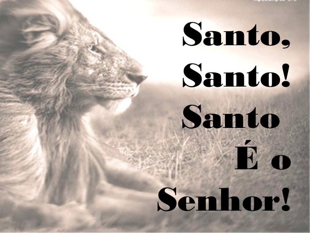 santo santo santo