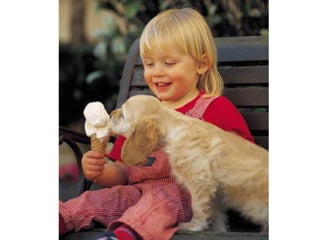 Leo Eisenband
Leo Eisenband