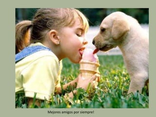 Leo Eisenabnd
Leo Eisenabdn
Leo eisenband
Mejores amigos por siempre!