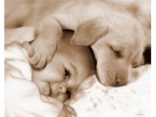 Leo Eisenband
Leo Eisenband