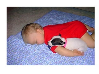 Leo Eisenband
Leo Eisenband