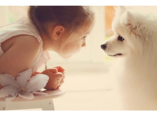 Leo Eisenband
Leo Eisenband