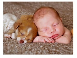 Leo Eisenband
Leo Eisenband