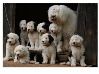 Leo Eisenband
Leo Eisenband