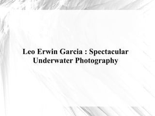 Leo Erwin Garcia : Spectacular
Underwater Photography
 