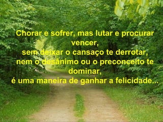 Chorar e sofrer, mas lutar e procurar
vencer,
sem deixar o cansaço te derrotar,
nem o desânimo ou o preconceito te
dominar,
é uma maneira de ganhar a felicidade...
 