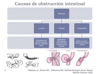 Causas de obstrucción intestinal
Mecánica
Luminal
Intususcepción,
calculos biliares,
bezoar, parásitos,
otros.
Parietal
Neoplasias,
inflamatorias,
endometriosis,
divertículo de
Meckel
Extraparietal
Bridas, hernias,
masas extrínsecas
, vólvulo.
Villalobos JJ., Olivera MA., Valdovinos MA. Gastroenterología. 5a ed. México:
Méndez Editores; 2006.
 
