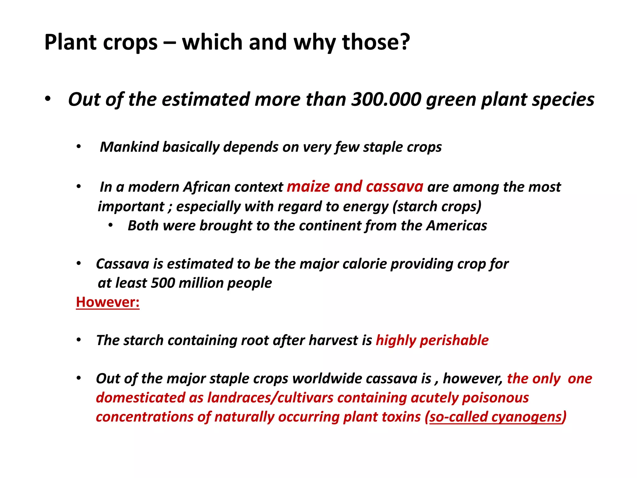 Plant crops – which and why those?
• Out of the estimated more than 300.000 green plant species
• Mankind basically depends on very few staple crops
• In a modern African context maize and cassava are among the most
important ; especially with regard to energy (starch crops)
• Both were brought to the continent from the Americas
• Cassava is estimated to be the major calorie providing crop for
at least 500 million people
However:
• The starch containing root after harvest is highly perishable
• Out of the major staple crops worldwide cassava is , however, the only one
domesticated as landraces/cultivars containing acutely poisonous
concentrations of naturally occurring plant toxins (so-called cyanogens)
 