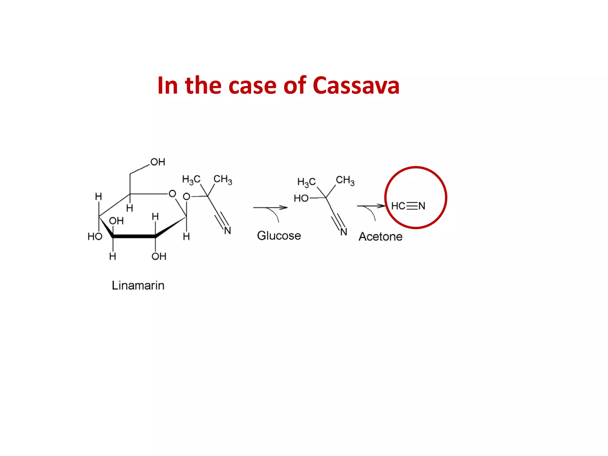 In the case of Cassava
 