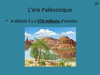 L’ère Paléozoïque
• A débuté il y a 570 millions d’années
10
 