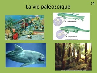 La vie paléozoïque
14
 