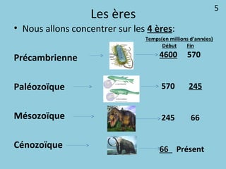 Les ères
• Nous allons concentrer sur les 4 ères:
Précambrienne
Paléozoïque
Mésozoïque
Cénozoïque
Temps(en millions d’années)
Début Fin
4600 570
570 245
245 66
66 Présent
5
 