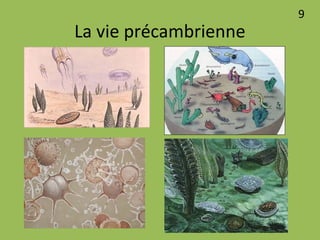 La vie précambrienne
9
 