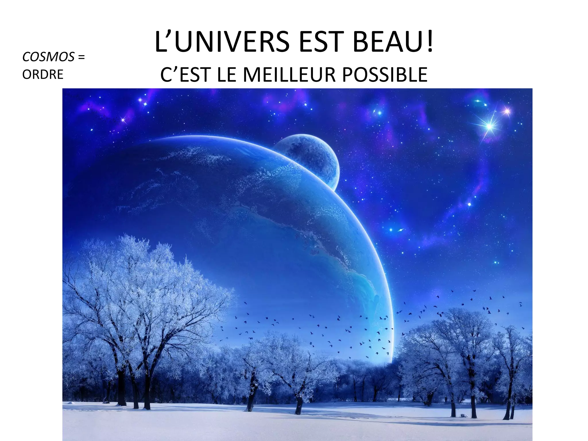 Leçon 7 platon la théorie des idées et l'analogie de