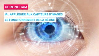 28
CHRONOCAM
IA : APPLIQUER AUX CAPTEURS D’IMAGES
LE FONCTIONNEMENT DE LA RÉTINE
 