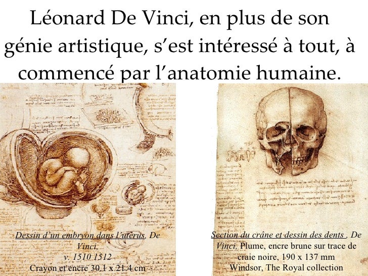 A Quel Mouvement Artistique Appartient Leonard De Vinci Leonard De Vinci, Un Homme Aux Multiples FaçEttes (Lionel S , Jonat…