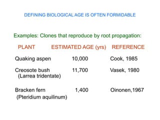 The pathology of aging- aetiology of aging .pptx