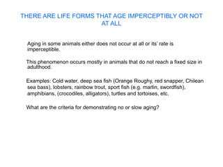 The pathology of aging- aetiology of aging .pptx