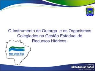 O Instrumento de Outorga e os Organismos
    Colegiados na Gestão Estadual de
           Recursos Hídricos.
 