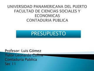 Profesor: Luis Gómez
Tutor:Leonardo Colina
Contaduría Publica
Sec 11
PRESUPUESTO
 