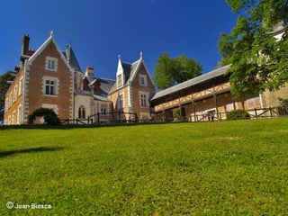 La última noticia de su periodo romano data de agosto de 1516,
cuando medía las dimensiones de la Basílica de san Pablo.


En 1517 Francisco I lo invitó a su país, donde en mayo, junto a Melzi
y el sirviente Battista de Vilania, se alojó en el castillo de Clos-Lucé,
cerca de Amboise, honrado con el título de premier peintre,
architecte, et mecanicien du roi y de una pensión de 5.000 escudos.
La alta consideración de que gozaba queda demostrada incluso por
la visita que recibió, el 10 de octubre de ese año, del cardenal de
Aragón, Antonio de Beatis, y de su séquito; Leonardo le mostró una
serie de pinturas que causaron su admiración y que han sido
identificadas como la Gioconda, San Juan Bautista y La Virgen,
Santa Ana y el Niño.
 