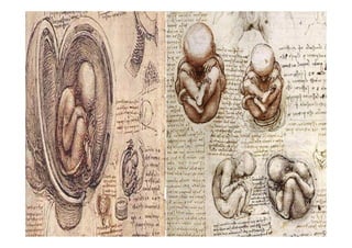 Leonardo Vita E Opere