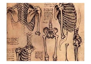 Leonardo Vita E Opere